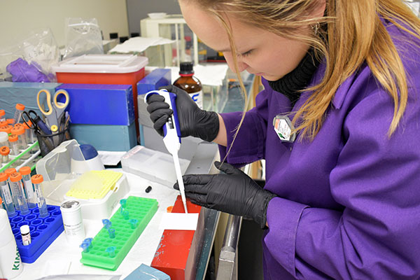 student working in a lab with a pipette