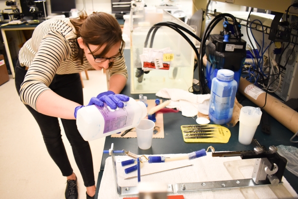 A student in a laboratory leans over a cup and pours a clear liquid into the cup. 